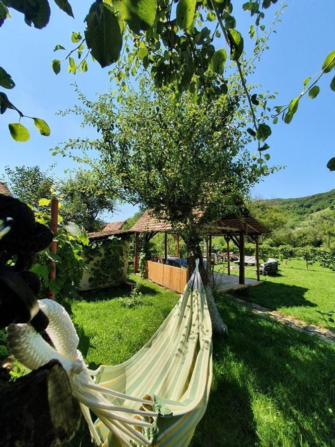 Valchid Guest House Exterior foto