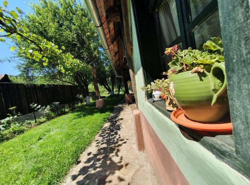 Valchid Guest House Exterior foto