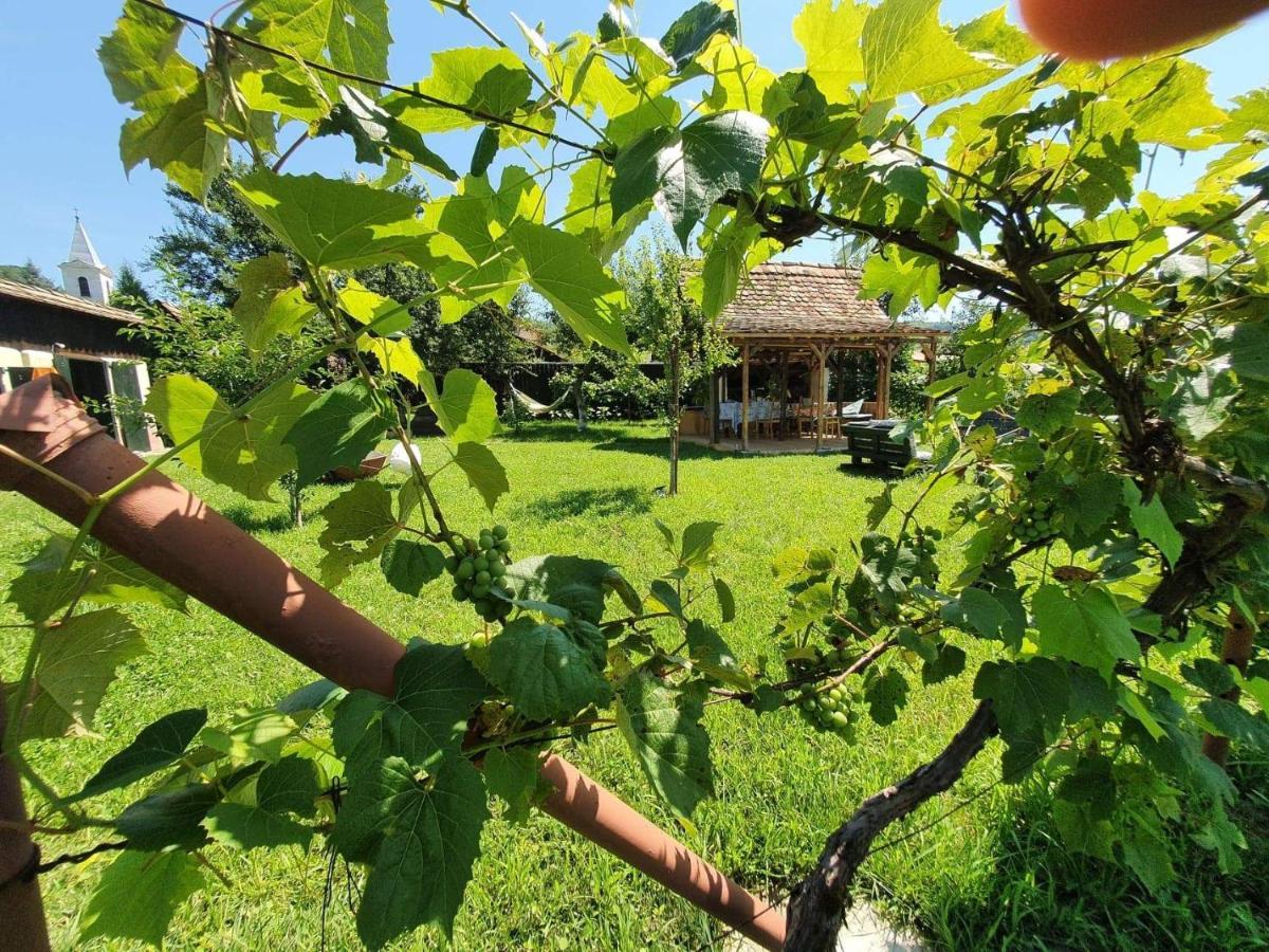 Valchid Guest House Exterior foto